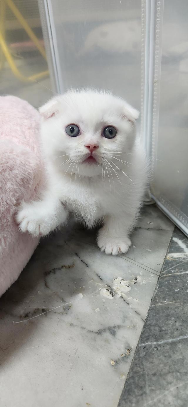 ดช.มันช์กินหูพับ หนุ่มน้อยเรียบร้อย💕🙎‍♂️