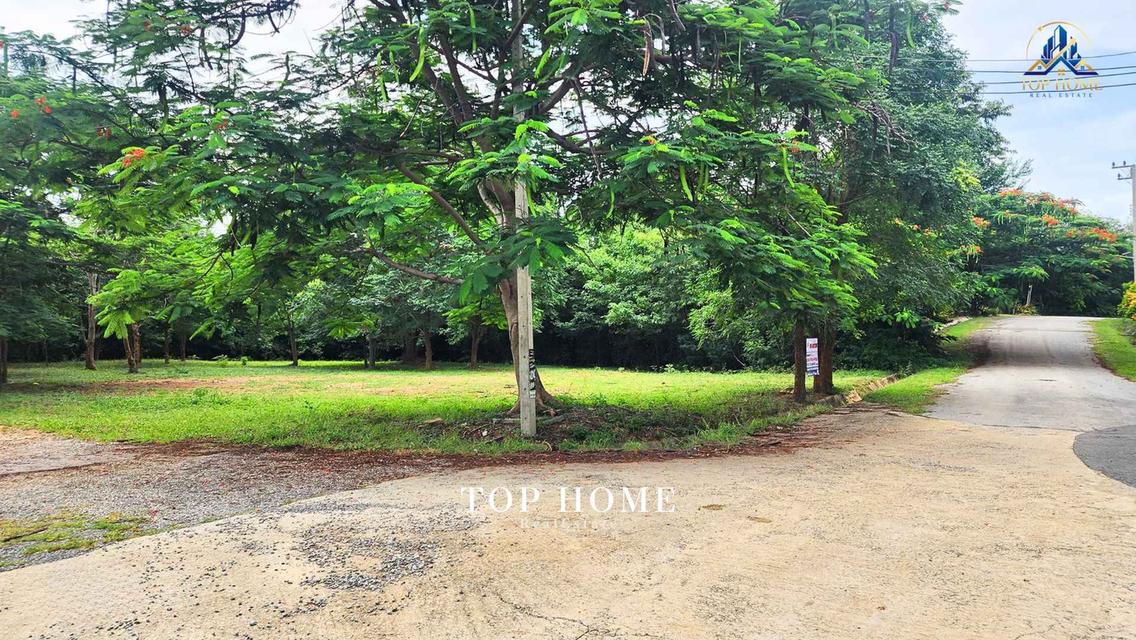 ขายด่วน! ที่ดินแปลงมุม วิวภูเขา | มวกเหล็กวัลเลย์ สระบุรี 🔥 🌿 แปลงสวย ถมแล้ว บรรยากาศดี เป็นส่วนตัว — พร้อมสร้างบ้านพักตากอากาศในฝัน 12