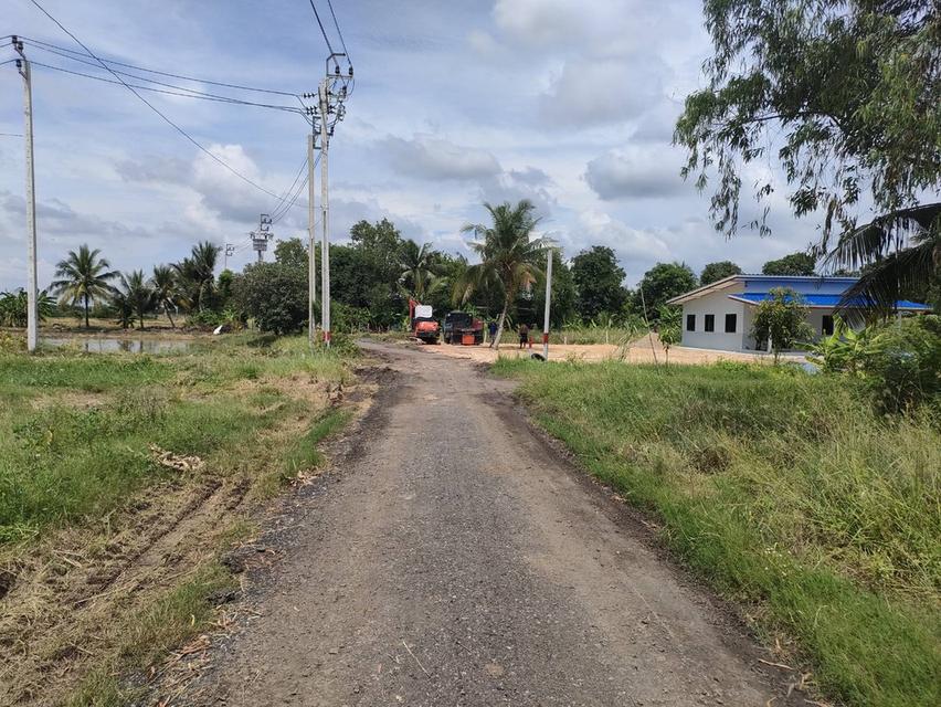 ขายที่ดินเปล่าในถนนร่วมพัฒนา เขตหนองจอก กรุงเทพมหานคร 10