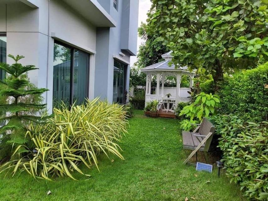 ขายบ้านเดี่ยว Venue พระราม 5 บางไผ่-นนทบุรี ตกแต่งพร้อมเข้าอยู่ ทำเลดี ใกล้ MRT แยกติวานนท์ 2