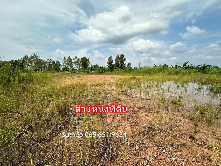 ขายที่ดินถมแล้ว 1-3-38 ไร่ ใกล้หาดแม่รำพึง 1 กม. ไฟฟ้า ประปาพร้อม ตะพง ระยอง 11