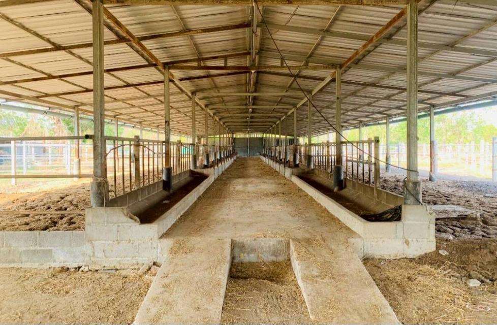 ขายที่ดินพร้อมบ้านและฟาร์ม เนื้อที่ 12 ไร่ 0 งาน 83 ตร.ว. ใกล้ รร.บ้านท่าหัวลบ 2