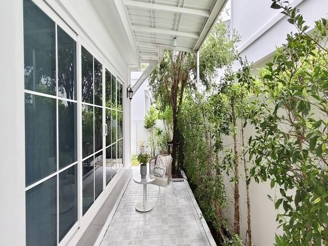 ให้เช่าบ้านเดี่ยว 2 ชั้น 62 ตร.วา 3 ห้องนอน ชัยพฤกษ์ บางนา กม.15 บ้านใกล้ส่วนกลาง ใกล้ Mega Bangna, Central Village เฟอร 2