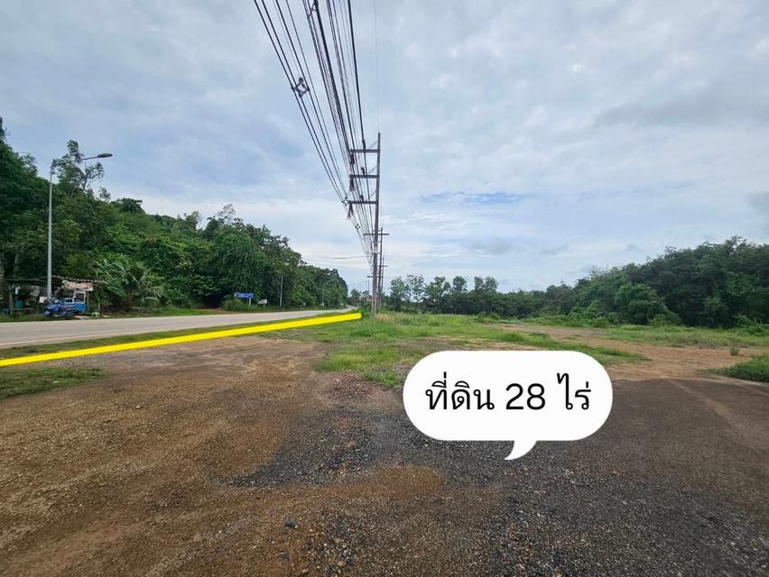 ขายสวนยางพร้อมที่ดิน ขนาด 28 ไร่ สวยและดี ราคาถูก ติดถนนสายสุขุมวิท-ท่าเรือแกลง จ.ระยอง  ที่ดินประเภท ชบ.1-12 ประเภทชุมชน (สีส้ม)🟠  ที 5