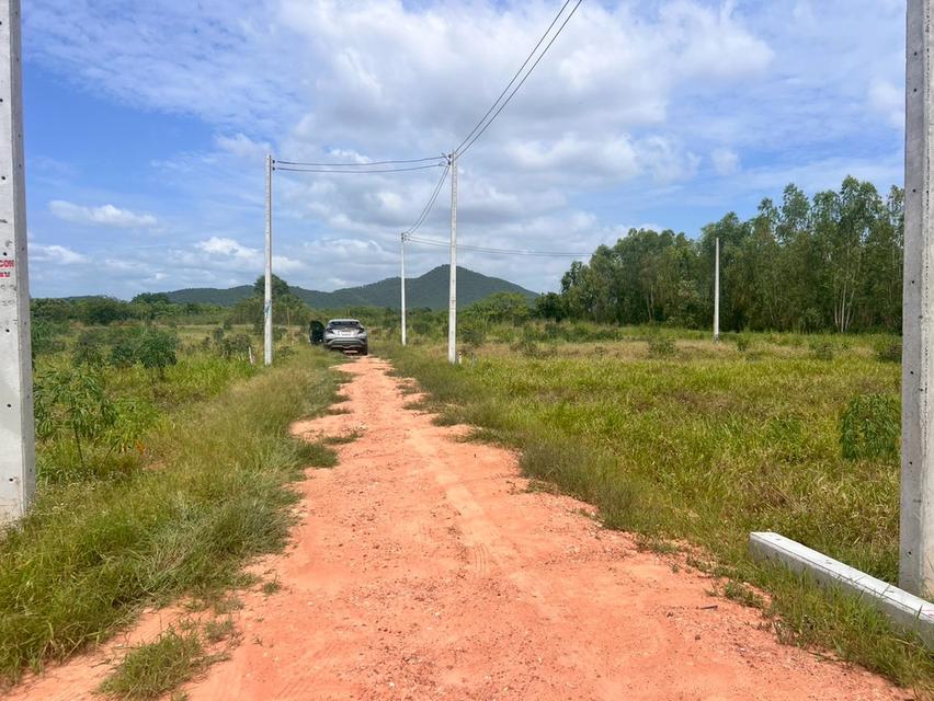 ที่ดิน ท่าม่วง จ. กาญจนบุรี ผ่อนได้ 8
