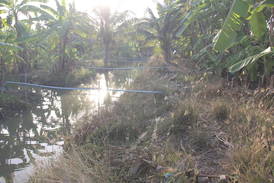 ขายที่ดินสวย อำเภอกำแพงแสน  จังหวัดนครปฐม 5 ไร่ 5 ตารางวา 12