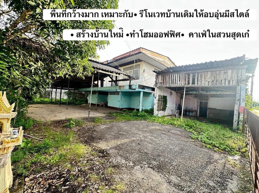 🏡เปลี่ยนโครงสร้างเก่า... ให้กลายเป็นบ้านในฝันใจกลางเมืองชุมพร! (136.8 ตร.ว.) 5