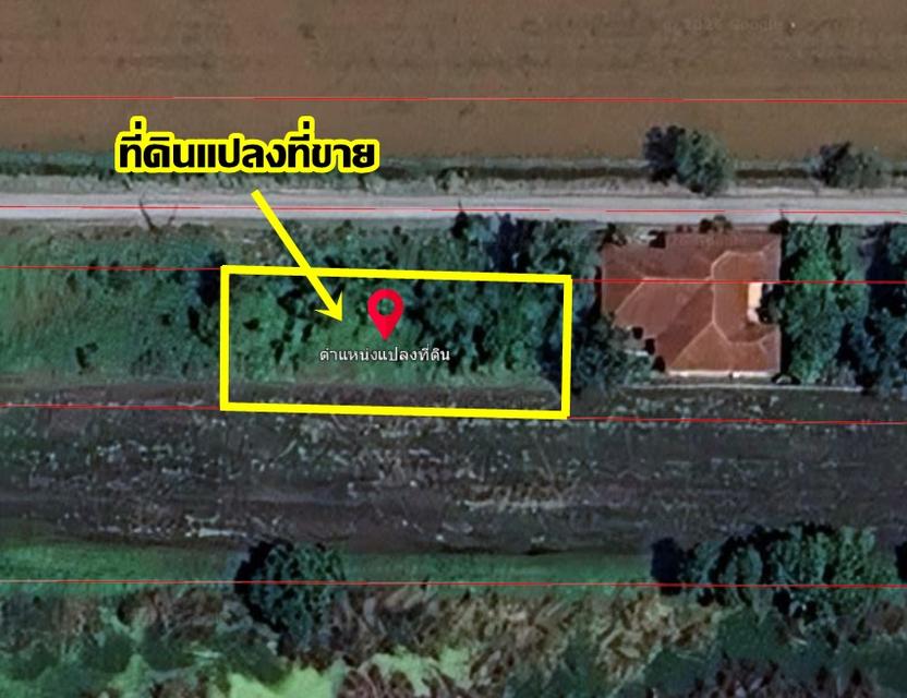 ขายที่ดินเปล่า ซอยเพชรมณี (ซอยคลองห้าตะวันตก 25) 4