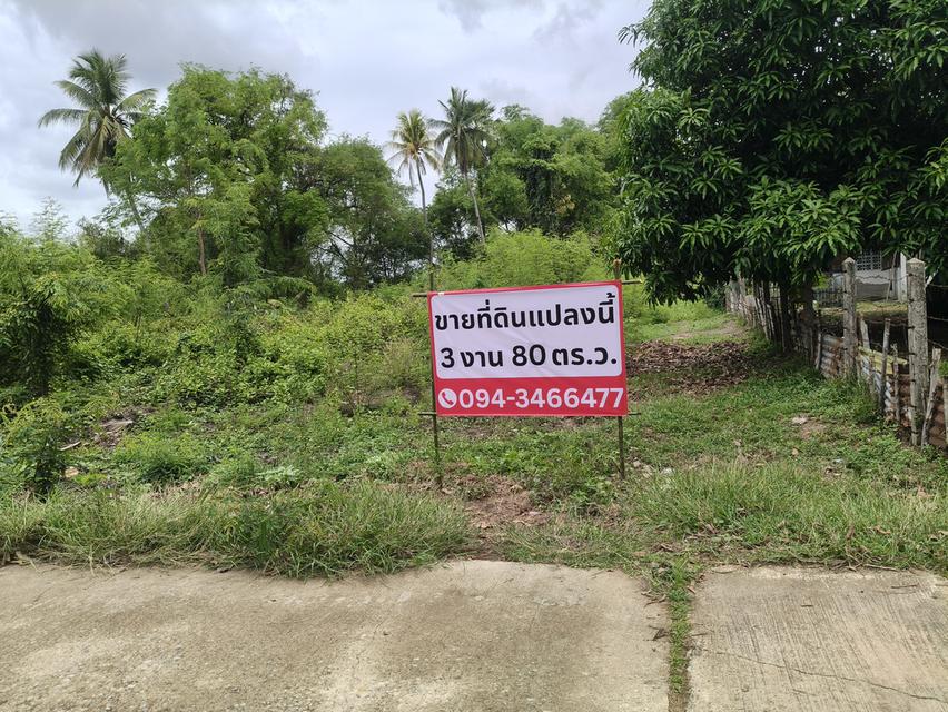 ที่ดินเปล่า 2แปลงติดกัน 3งาน80ตรว. 2