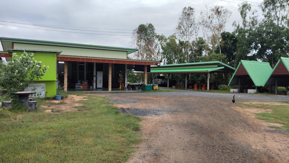 ขายร้านค้ารวมที่ยกแปลงจำนวนสองไร่ ติดถนนที่ทำเลทองเหมาะสำหรับการค้าขาย 2