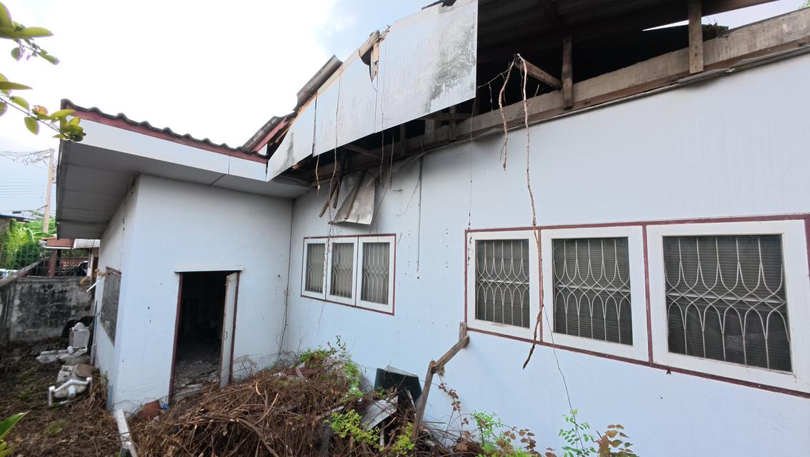 ที่ดินพร้อมสิ่งปลูกสร้าง ซอยสี่ไชยทอง 18 ถนนแจ้งวัฒนะ ต.บางตลาด อ.ปากเกร็ด จ.นนทบุรี 15