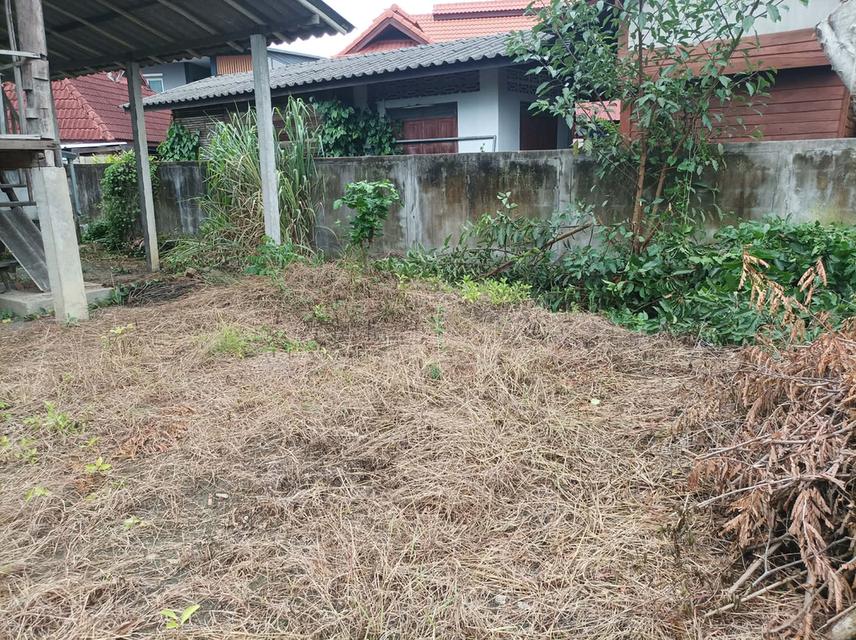 ขายที่ดิน 95ตร.ว. ต.เชิงดอย อ.ดอยสะเก็ด จ.เชียงใหม่ รูปที่ 7
