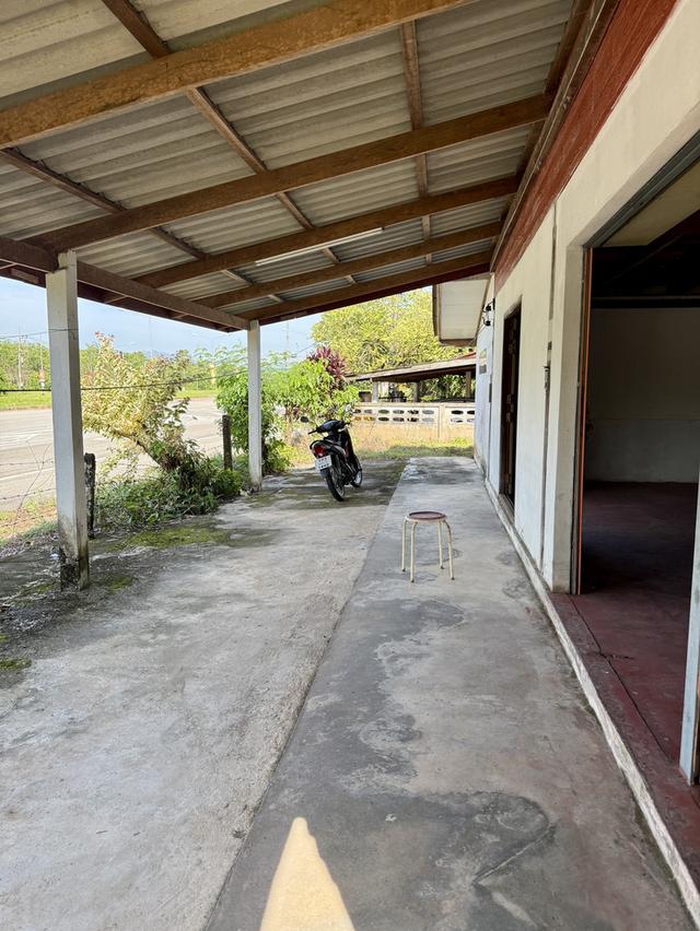 ขายบ้านนราธิวาส บ้านเดี่ยวครึ่งปูนครึ่งไม้ 9