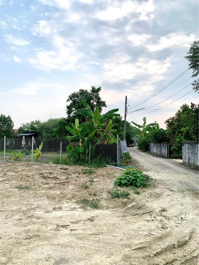 ขายที่ดินเปล่าใกล้ตัวเมืองเชียงใหม่เดินทางเพียง 30 นาที บ้านล่ามจันทร์ ต.น้ำแพร่ อ.หางดง จ.เชียงใหม่ ราคา 5,400,000 บาท 4