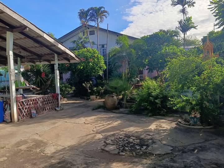 บ้านและที่ดิน 180ตรว. อยู่ใน อ.หนองม่วง จ.ลพบุรี 4