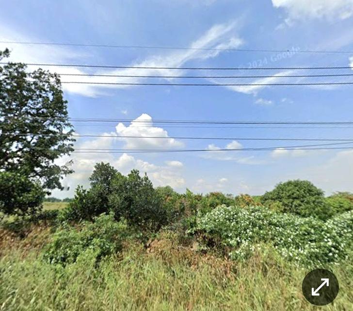 ขายที่ดินแถมบ้าน 6 ไร่ 29.1 ตารางวา จอมบึง ราชบุรี 3