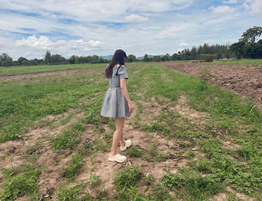 ที่ดิน ทำเลดีโฉนดครุฑแดง เจ้าของขายเอง 6