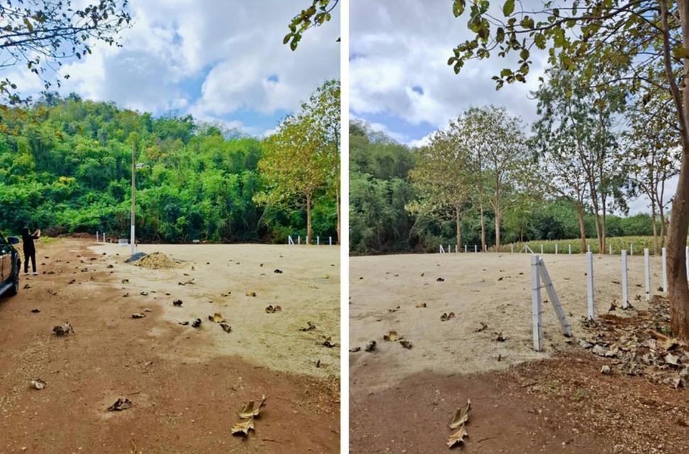 ขายที่ดินปากช่อง ใกล้เขาใหญ่ ที่ดินติดภูเขา วิวภูเขาชัดเจน ตำบลขนงพระ ปากช่อง นครราชสีมา 9