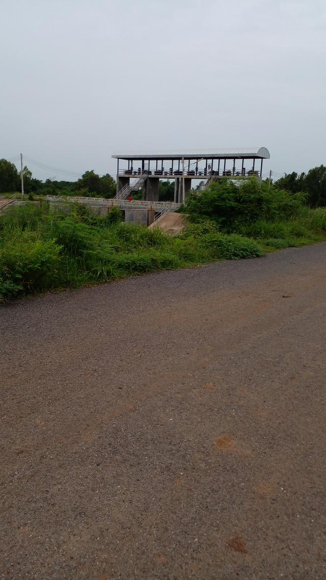 ขายที่ดินแปลงสวย เนื้อที่ 8 ไร่ ทำเลดี อำเภอเมือง หนองบัวลำภู 5