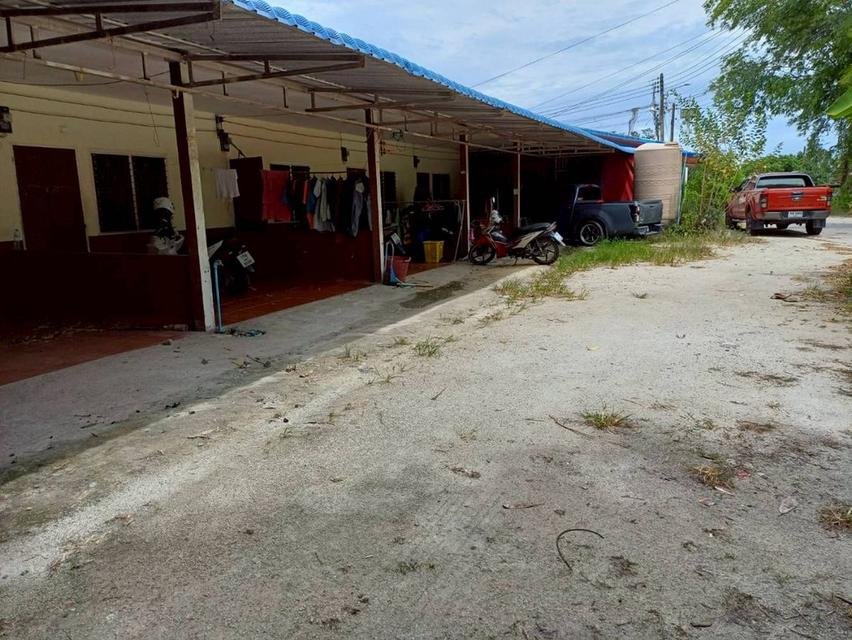 ขายที่ดินพร้อมบ้านและห้องแถว 8