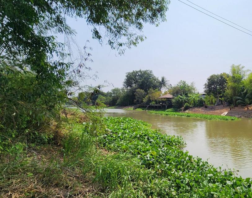 ขายที่ดินคลองนครเนื่องเขต 45 ไร่ ติดคลองติดถนนคอนกรีต ใกล้ตลาดปองพล-5กม. อ.เมืองฉะเชิงเทรา 3