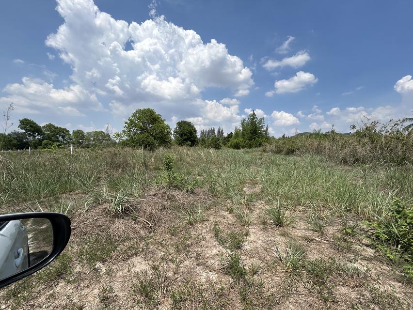 ที่ดินเปล่าถมที่แล้วเหมาะกับปลูกอาศัย 3