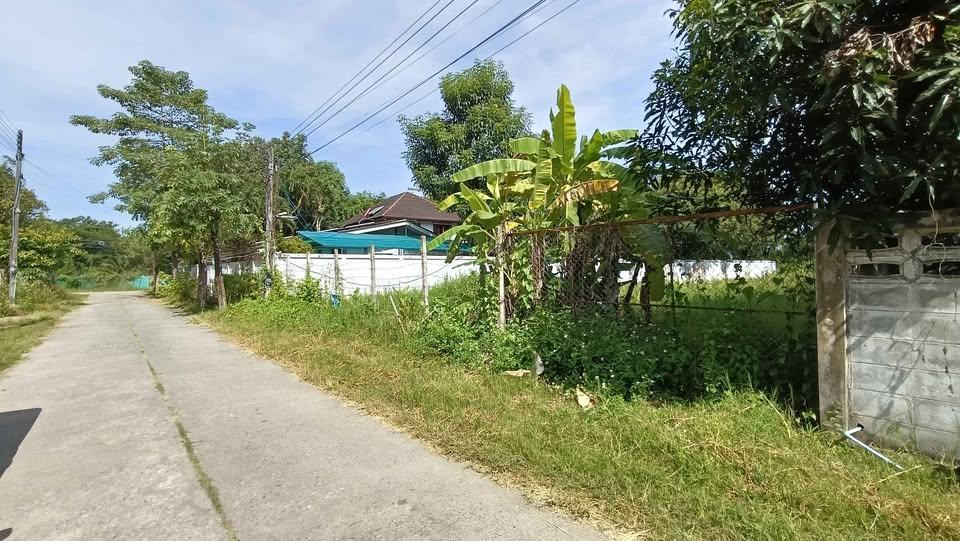 ขายที่ดินเปล่า ถมแล้ว 200 ตร.วา ใกล้วงแหวนรอบ 3 – แยกหลุยส์เครื่องเงิน ต.สันกลาง อ.สันกำแพง จ.เชียงใหม่ 3