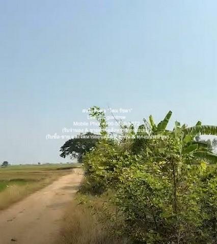 ที่ดิน //ต่ำกว่าราคาประเมิน//ขายที่ดินทุ่งนาข้าว อ.นครหลวง จ.พระนครศรีอยุธยา 17-0-76 ไร่ ราคา 3 ล้านบาท 3000000 BAHT พื้ 2