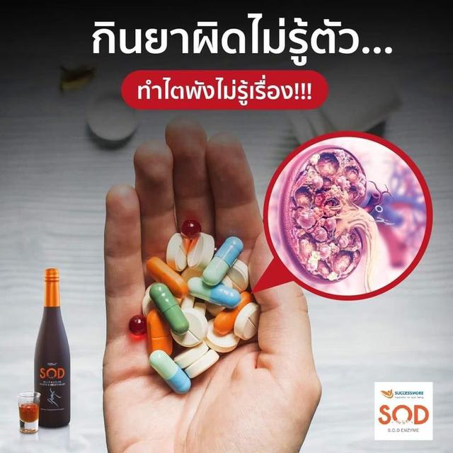 เอสโอดี.อาหารเสริมเป็นน้ำผลไม้ 14