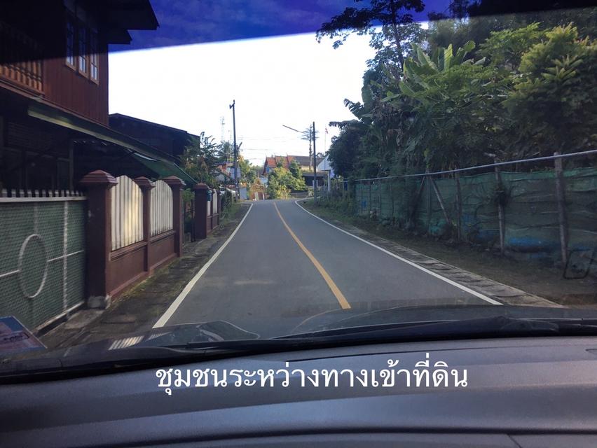 ขายสวนเงาะอยู่หลังเซเว่นตลาดสดทุ่งช้าง 6