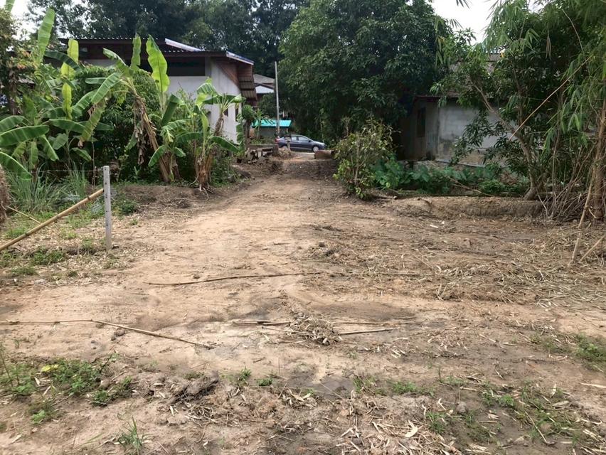 ขายที่ดินเชียงใหม่พร้อมสร้างบ้าน 13