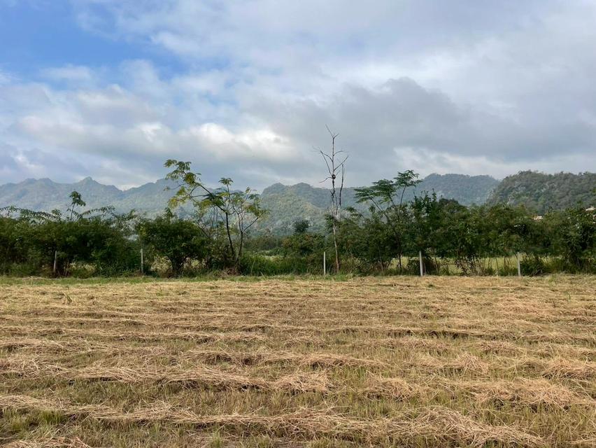 ขายที่ดินสวย วิวภูเขา เขาใหญ่ นครราชสีมา 1