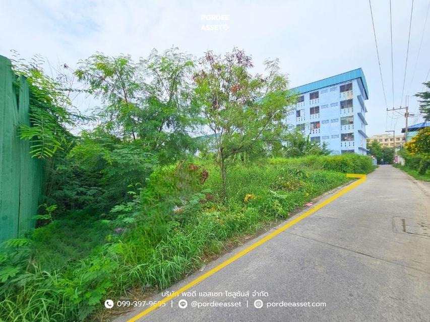 ขาย!! ที่ดินเปล่า 84 ตร.ว. แปลงสวย ซอยเพชรเกษม 87 ใกล้พุทธมณฑลสาย 4 อ้อมน้อย อยู่ในแหล่งชุมชน เดินทางสะดวก เข้า-ออกได้หลายทาง 3