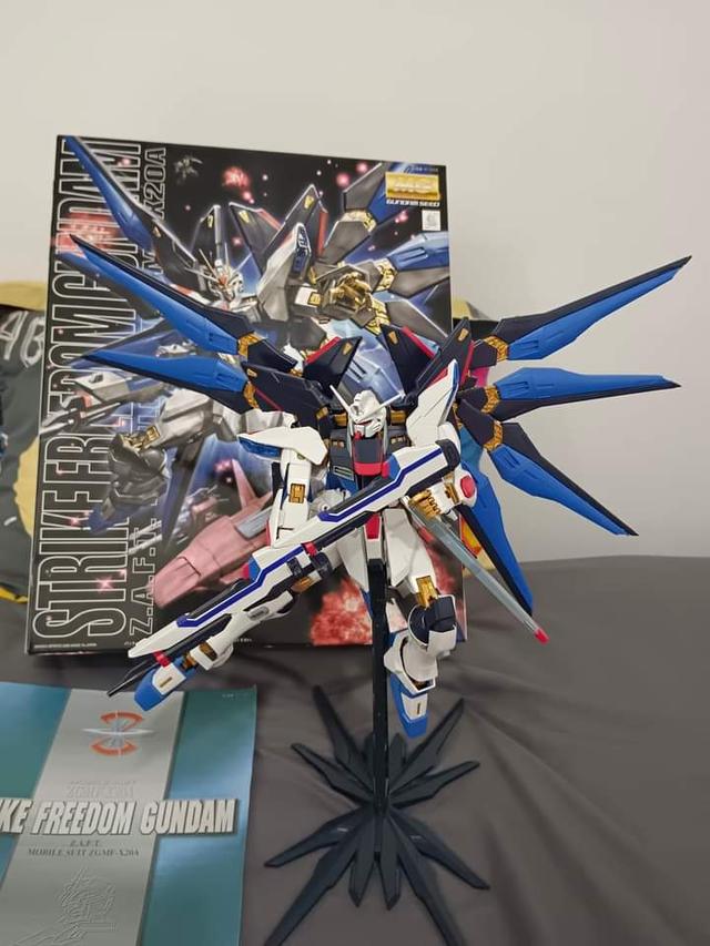 MG STRIKE FREEDOM GUNDAM 2