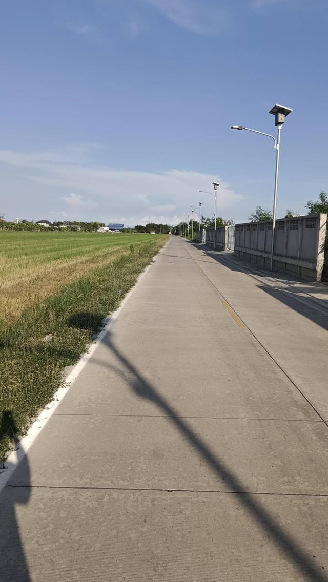 ขายที่ดินเปล่าติดถนนลำลูกกากาคลอง 9 จังหวัดปทุมธานี 2