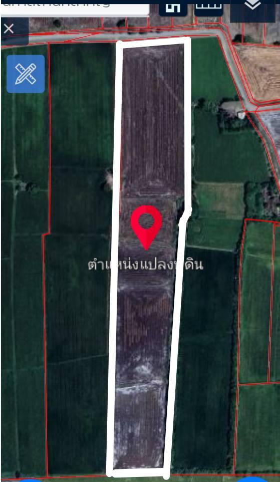 ขายที่ดิน จ.สุพรรณบุรี อ.เดิมบางนางบวช 1