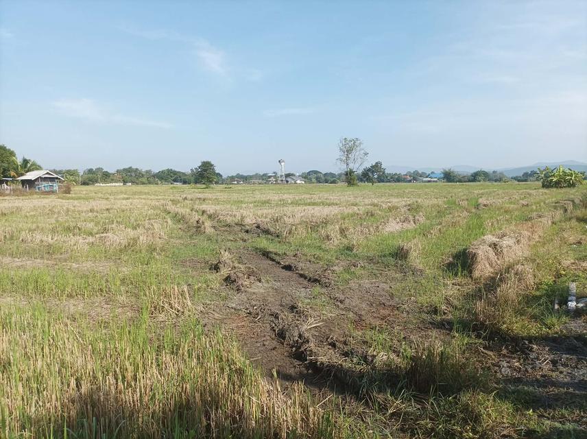 ขายที่ดิน5ไร่ วิวสวย ต.ป่าป้อง อ.ดอยสะเก็ด จ.เชียงใหม่ 3