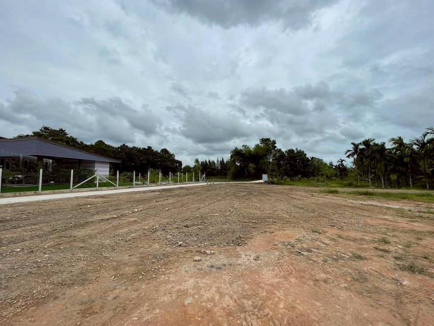 ขายที่ดินตาขัน 1 ไร่ ถมแล้ว ใกล้ตลาดสดบ้านค่าย9กม. ใกล้ถนนเส้นเชิงเนิน-ชากบก1.6กม. อ.บ้านค่าย ระยอง 4