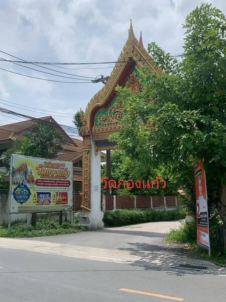 ขายที่ดิน ตารางวาละ 7,000 บาท บางกระเจ้า (ปอดของกรุงเทพมหานคร) พระประแดง สมุทรปราการ 10