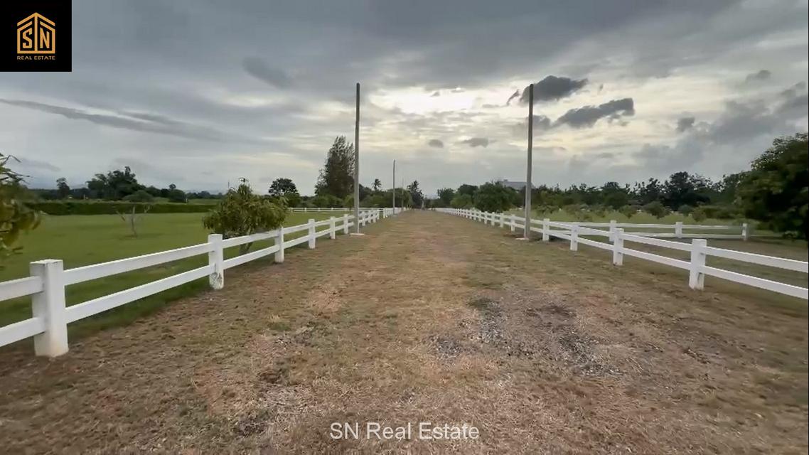 ขาย ที่ดินจัดสรร เขาใหญ่ อำเภอปากช่อง สำหรับปลูกบ้านพัก วิวภูเขา บรรยากาศดี 6