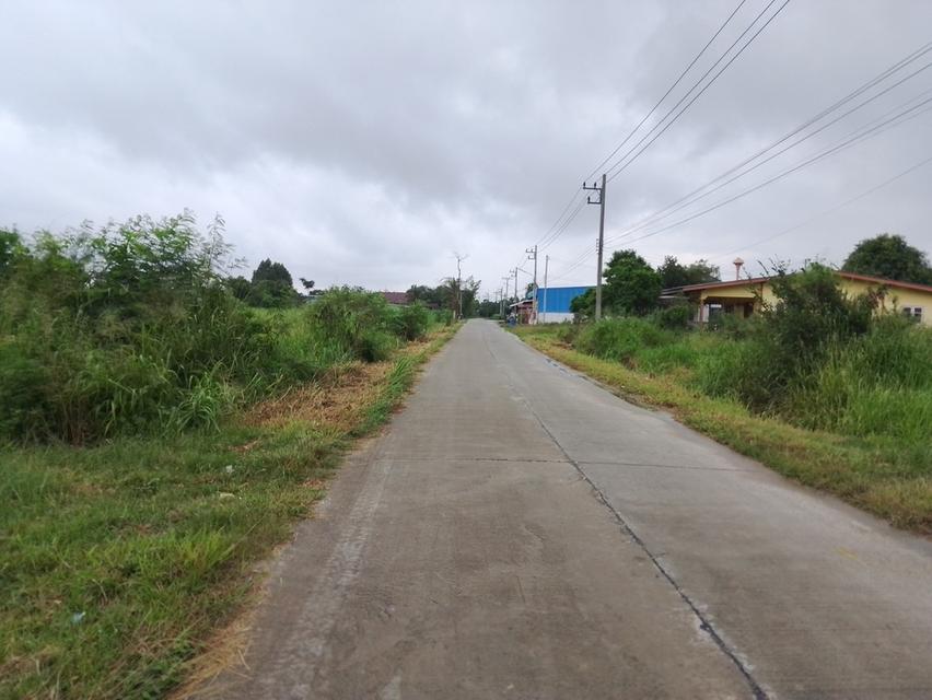 ขายที่ดินพานทอง 8 ไร่ ใกล้ถนนหนองกาน้ำ(3023)กำลังขยาย4เลน-950เมตร หนองหงษ์ จ.ชลบุรี 3
