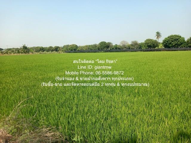 DSL-1049 ขาย SALE พื้นที่ดิน ขายที่ดินทุ่งนา อ.นครชัยศรี นครปฐม 8-0-76 ไร่ ราคา 24,570,000 บาท ขนาด 8 Rai 0 Ngan 76 ตารา 8