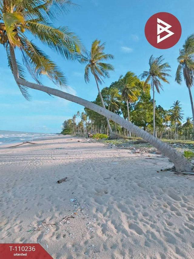 ขายที่ดินติดทะเล เนื้อที่ 45 ไร่ 3 งาน 21.0 ตารางวา ตำบลสระแก้ว ท่าศาลา นครศรีธรรมราช