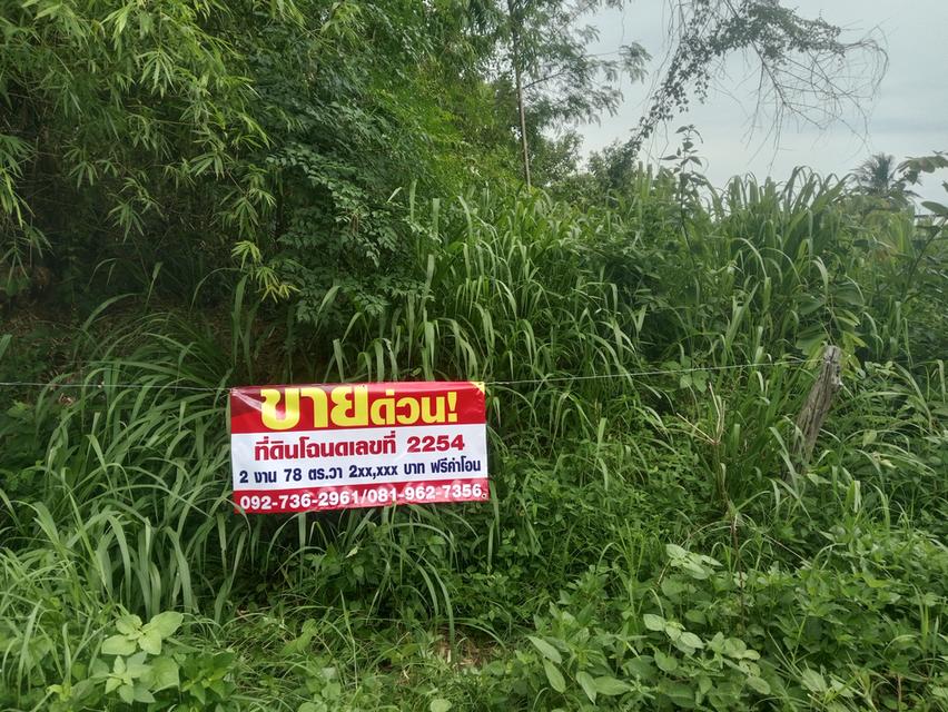 ที่ดินสระน้ำ 1