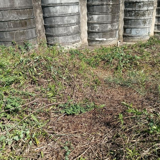 ที่ดินท่าไข่ฉะเชิงเทรา 11