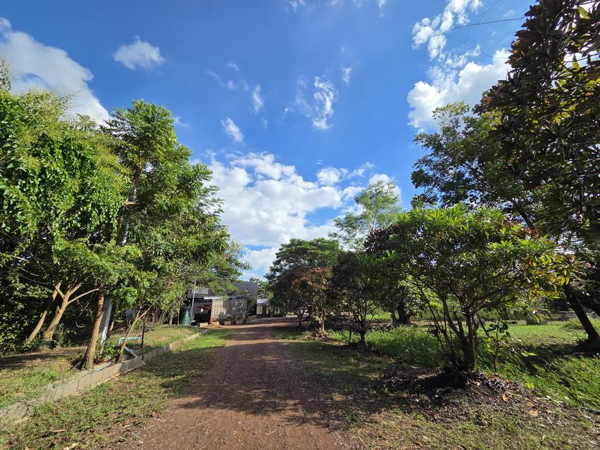 ขายที่ดิน 14 ไร่ แบ่งแปลงแล้ว สามพร้าว 11