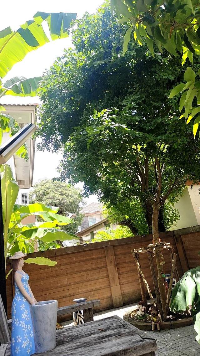ให้เช่า 3นอน51ตรว25000บ ฮาบิเทีย บางใหญ่ HABITIA BANGYAI ใกล้ อีเกีย บางใหญ่ 18