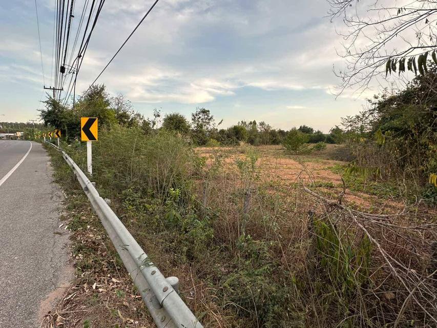 ขายที่ดินคู้ยายหมี 4 ไร่ ติดถนนเส้น3003ใกล้ตลาดสนามชัยเขต-5กม. จ.ฉะเชิงเทรา 5