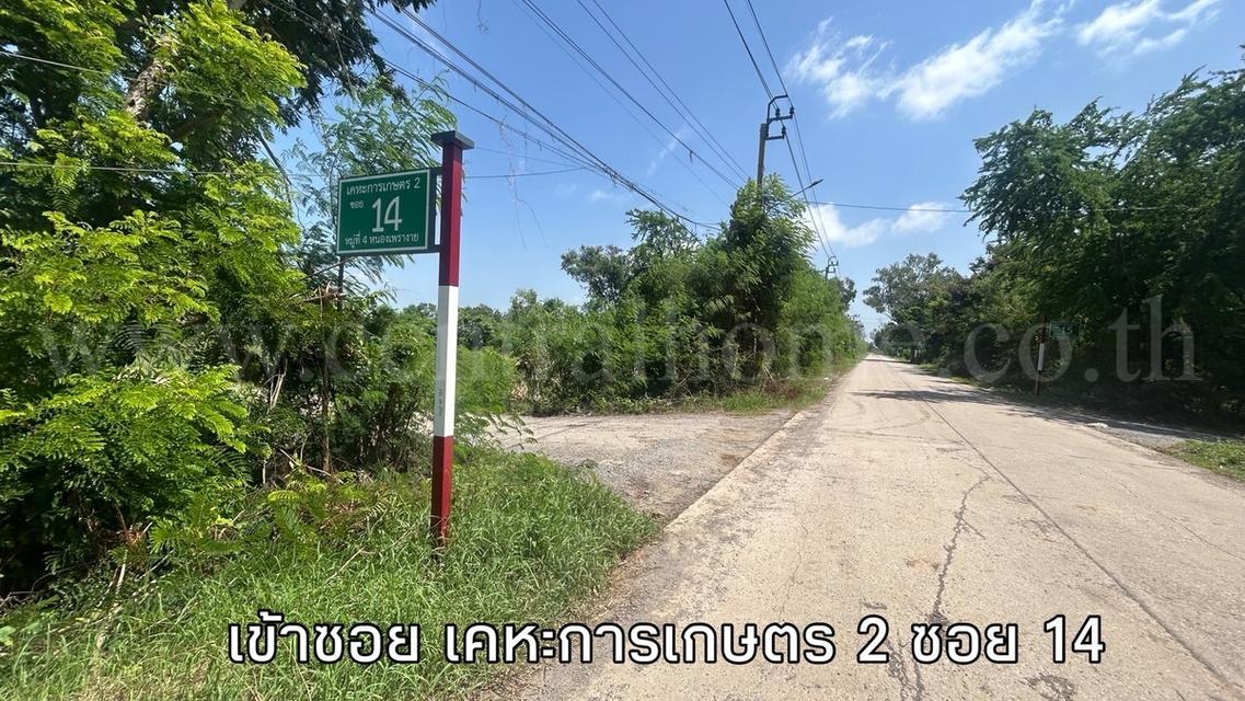 ที่ดินเปล่า 1 ไร่ หนองเพรางาย - ไทรน้อย นนทบุรี ขายถูก 7