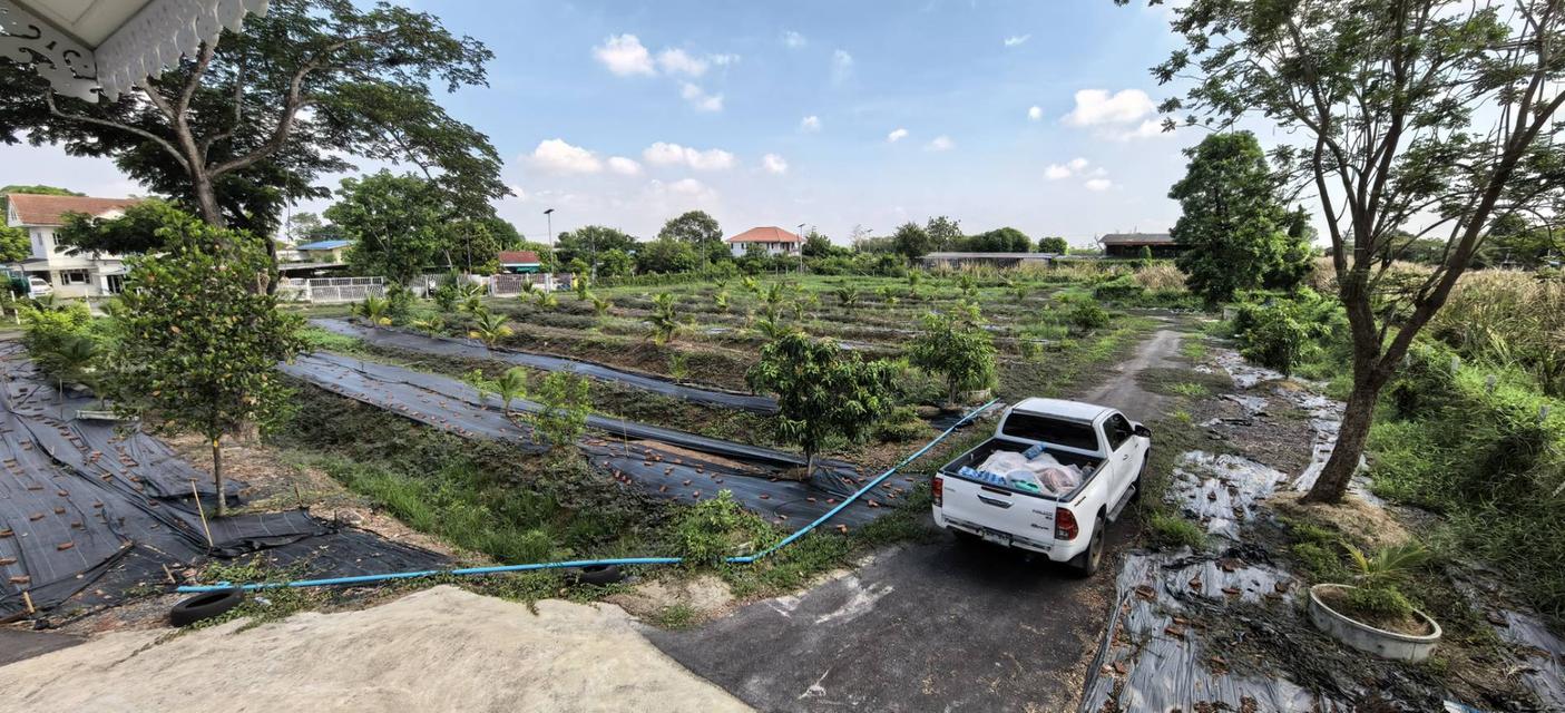 ที่ดินคลอง 9 ธัญบุรี 1
